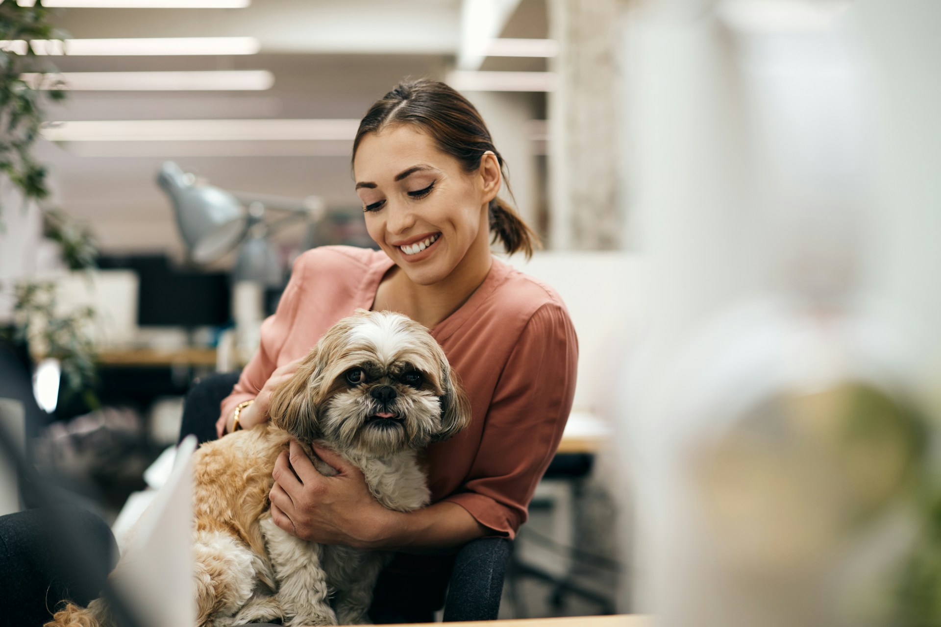 Smiling woman hugging fluffy Shih Tzu